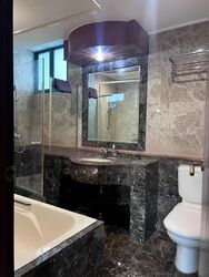 Toh Tuck Road (D21), Condominium #562208791
